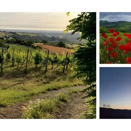 La Colombara Di Castione